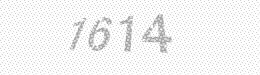 Visual security code — type the characters shown in the image